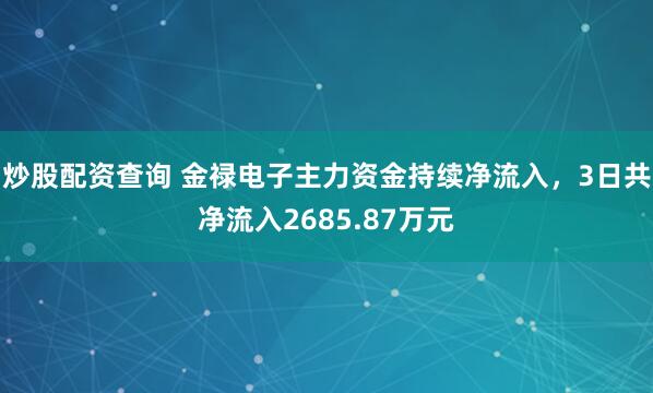 炒股配资查询 金禄电子主力资金持续净流入，3日共净流入2685.87万元